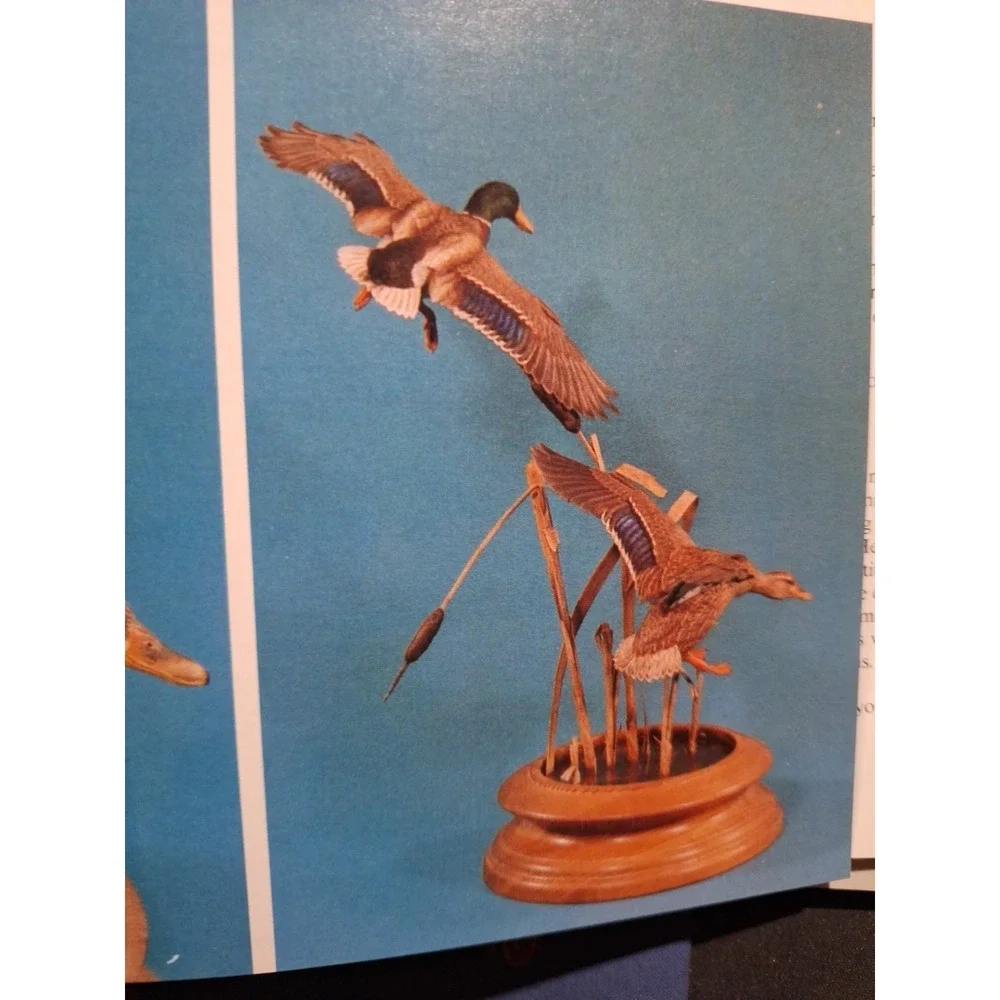 Championship Carving, Hardcover by Veasey, Tricia; Johnson, Tom, Like New‎